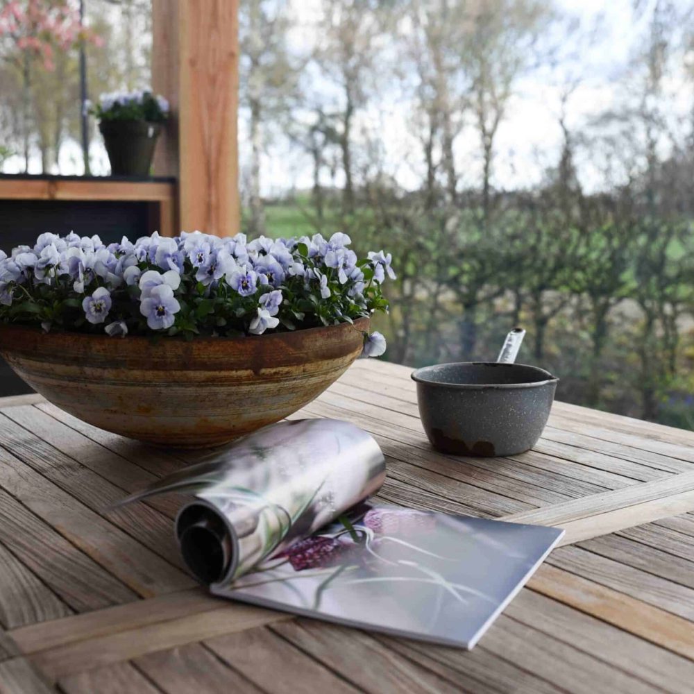 Bed and breakfast de Harnse stek