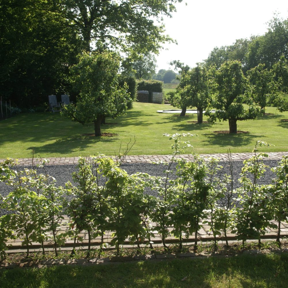 Bed and breakfast de Harnse stek